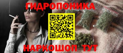 спиды Можга
