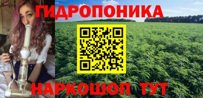 спиды Можга