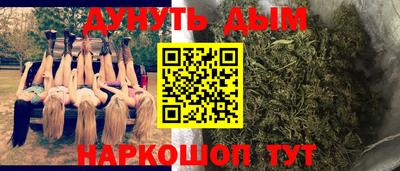 спиды Можга