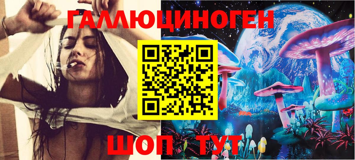 Чернушка  Галлюциногенные грибы GOLDEN TEACHER  Псилоцибиновые грибы Psilocybe  Вход с VPN 